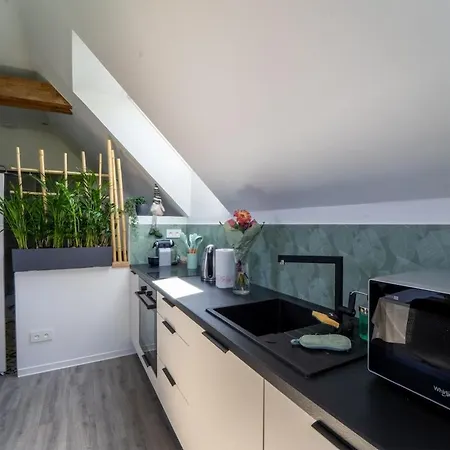 Comfortable Near Europa-park