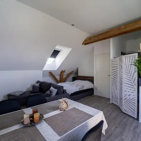 Appartement Comfortable Near Europa-park Marckolsheim
